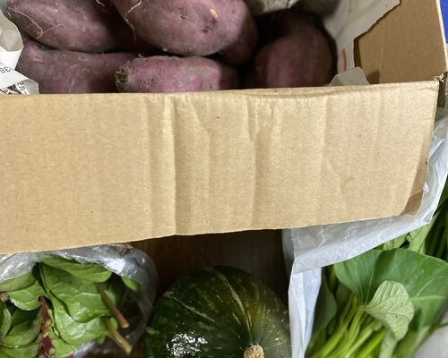 155CAA58-7024-4977-AC3A-4D998E0C115A